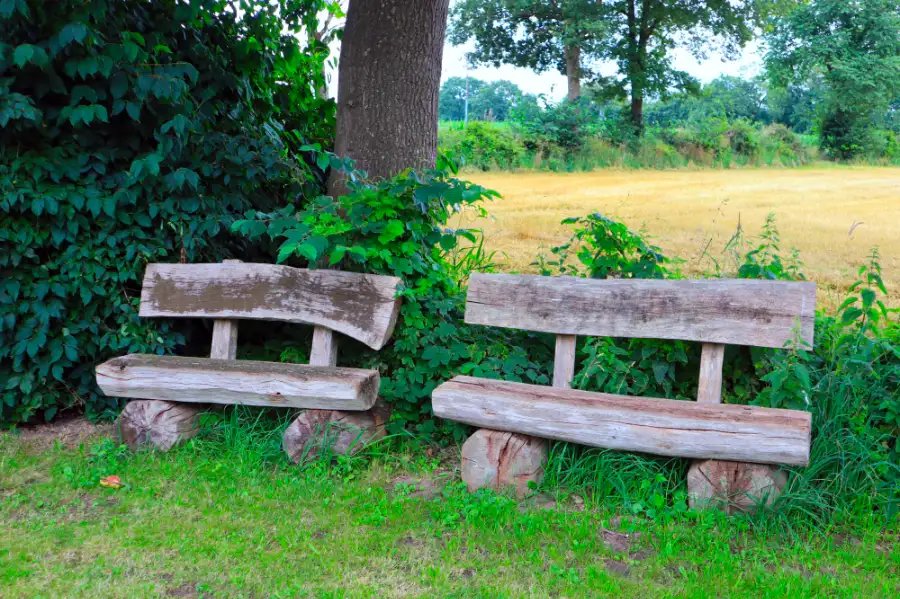 holzbaenke Holzbänke im Freien